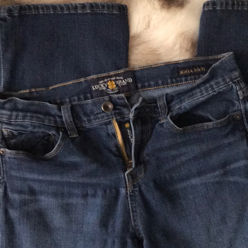 🍀 Lucky Brand Jeans